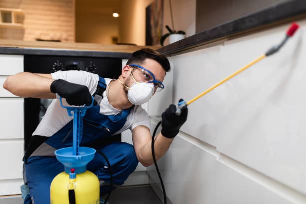 Best Flea Control Services  in Westwood, CA