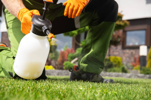 Best Affordable Pest Control Services  in Westwood, CA