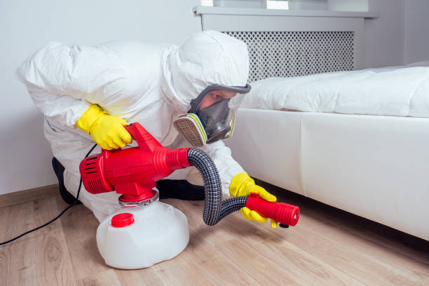 Best Mosquito Control Services  in Westwood, CA