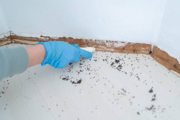 Best Wildlife Control Services  in Westwood, CA